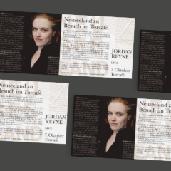 Flyer für die Musiknacht in Neubrandenburg mit Jordan Reyne